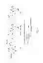 Fig. 02 - Glycosylated specificity exchangers