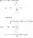 Fig. 06 - Glycosylated specificity exchangers