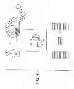 Fig. 05 - Methods For The Detection, Analysis And Isolation of Nascent Proteins