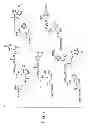 Fig. 08 - Methods For The Detection, Analysis And Isolation of Nascent Proteins