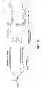 Fig. 15 - Methods For The Detection, Analysis And Isolation of Nascent Proteins