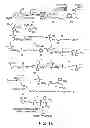 Fig. 17 - Methods For The Detection, Analysis And Isolation of Nascent Proteins