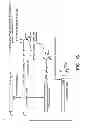 Fig. 18 - Methods For The Detection, Analysis And Isolation of Nascent Proteins