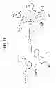 Fig. 20 - Methods For The Detection, Analysis And Isolation of Nascent Proteins