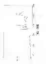 Fig. 35 - Methods For The Detection, Analysis And Isolation of Nascent Proteins