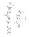 Fig. 07 - Contrast agents