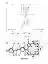 Fig. 08 - Conductive open frameworks