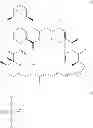 Fig. 02 - Regioselective acylation of rapamycin at the C-42 position