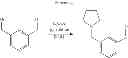 Fig. 41 - Modulators of toll-like receptors