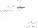 Fig. 45 - Modulators of toll-like receptors