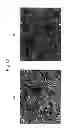 Fig. 35 - Organic semiconductor material