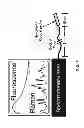 Fig. 06 - Integrated system and methods for real-time anatomical guidance in a diagnostic or therapeutic procedure