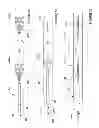 Fig. 07 - Methods and apparatus for renal neuromodulation