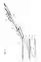 Fig. 02 - TISSUE CLOSURE DEVICES, DEVICE AND SYSTEMS FOR DELIVERY, KITS AND METHODS THEREFOR
