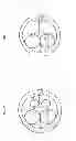Fig. 08 - Methods and devices for threading sutures