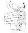 Fig. 07 - Dynamic stabilization medical implant assembles and methods