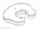 Fig. 01 - Apparatus, systems, and methods for treating body organ aging