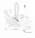 Fig. 08 - Adjustable suture-button construct for knotless stabilization of cranial cruciate deficient ligament stifle