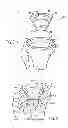 Fig. 02 - Methods for supporting a prosthetic implant in a patient