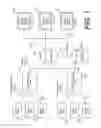 Fig. 02 - Fleet operations quality management system and automatic multi-generational data caching and recovery