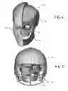 Fig. 06 - Model-based helmet design to reduce concussions
