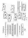 Fig. 07 - Computer-implemented method of identifying a group of perforations