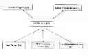 Fig. 01 - On-line system and method for providing medical data to patient