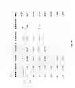 Fig. 07 - Determining and using brand information in electronic commerce