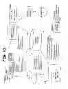 Fig. 09 - Retail point-of-transaction systems, program products, and related methods to provide a customized set of identification data to facilitate a retail transaction using electronic coupons