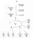 Fig. 01 - System and method for determining social statements