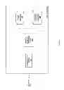 Fig. 16 - FINANCIAL STRENTGH INDICATION