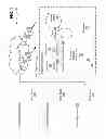 Fig. 02 - METHODS AND SYSTEMS FOR DISPLAYING AND FILTERING BUSINESS ANALYTICS DATA STORED IN THE CLOUD