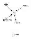 Fig. 44 - System and method for application search results by locational conditions