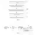 Fig. 02 - Processing method, distribution server, client, and system for streaming media
