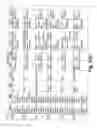 Fig. 79 - Server-less synchronized processing across a plurality of interoperating data processing systems