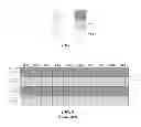 Fig. 08 - Buffered conduits for high throughput channel implementation, crosstalk de-sensitization and late timing fixes on skew sensitive buses