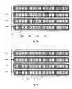 Fig. 09 - Multi-granularity parallel storage system and storage