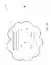 Fig. 07 - Scalable groups of authenticated entities