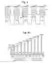 Fig. 05 - Block and page level bad bit line and bits screening methods for program algorithm
