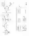 Fig. 02 - System and method for creating a family tree data structure