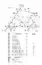 Fig. 03 - Abstract symbolic execution for scaling symbolic execution generation and automatic test generation