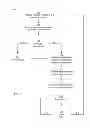Fig. 06 - Anomalous activity detection