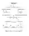Fig. 09 - Dynamically configurable online data update system