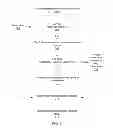 Fig. 04 - Certifying server side web applications against security vulnerabilities