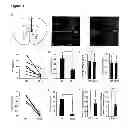 Fig. 02 - Control and Characterization of Psychotic States