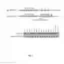 Fig. 03 - Transgenic chicken comprising an inactivated immunoglobulin gene