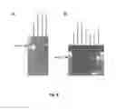 Fig. 10 - Transgenic chicken comprising an inactivated immunoglobulin gene