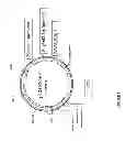 Fig. 02 - Soybean seed and oil compositions and methods of making same