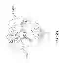 Fig. 40 - Apparel systems, wearable item systems, decor systems, and other systems and designs