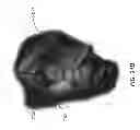 Fig. 43 - Apparel systems, wearable item systems, decor systems, and other systems and designs